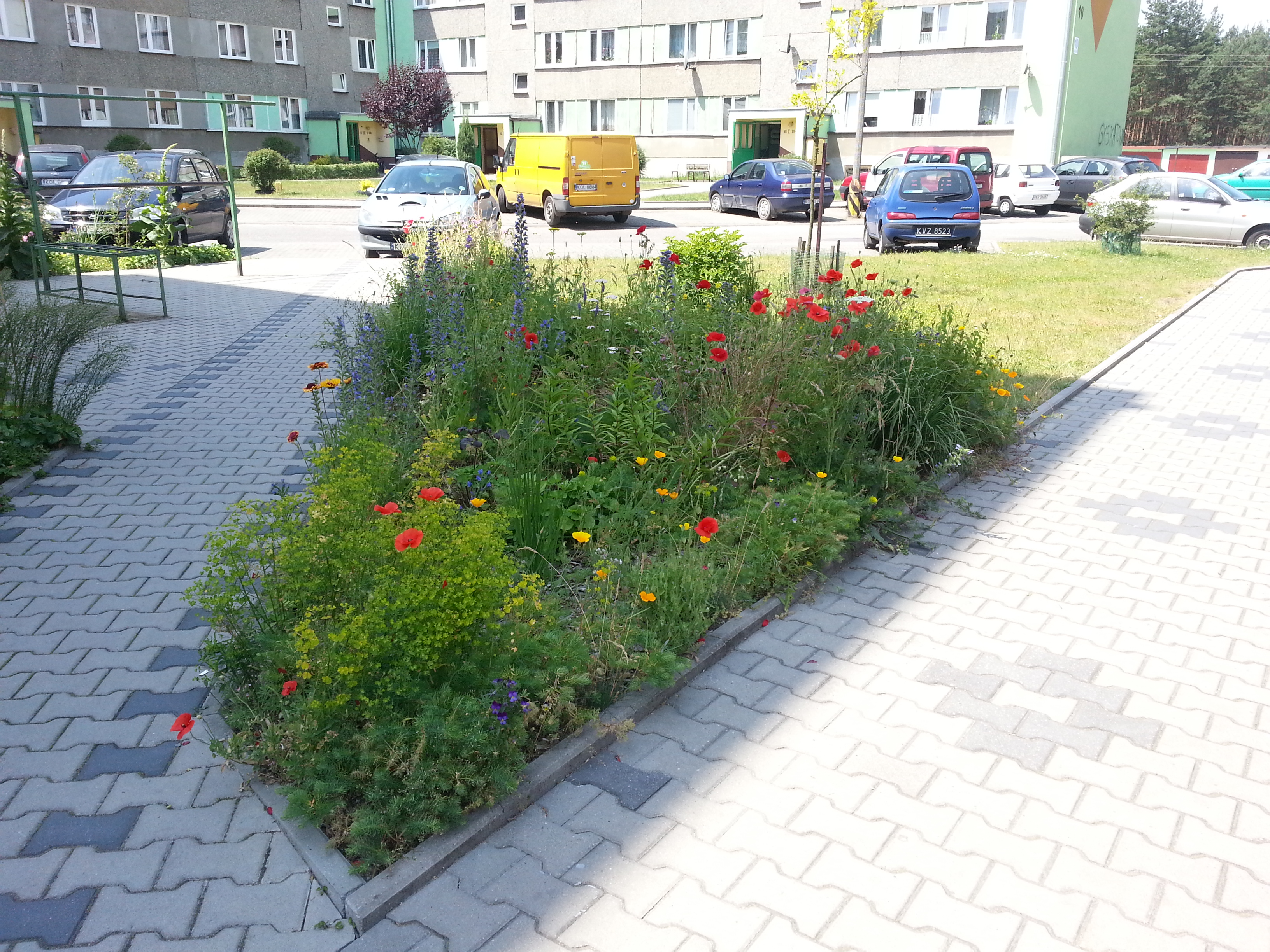 Klucze – „Nasz ogródek botaniczny (a co!)”