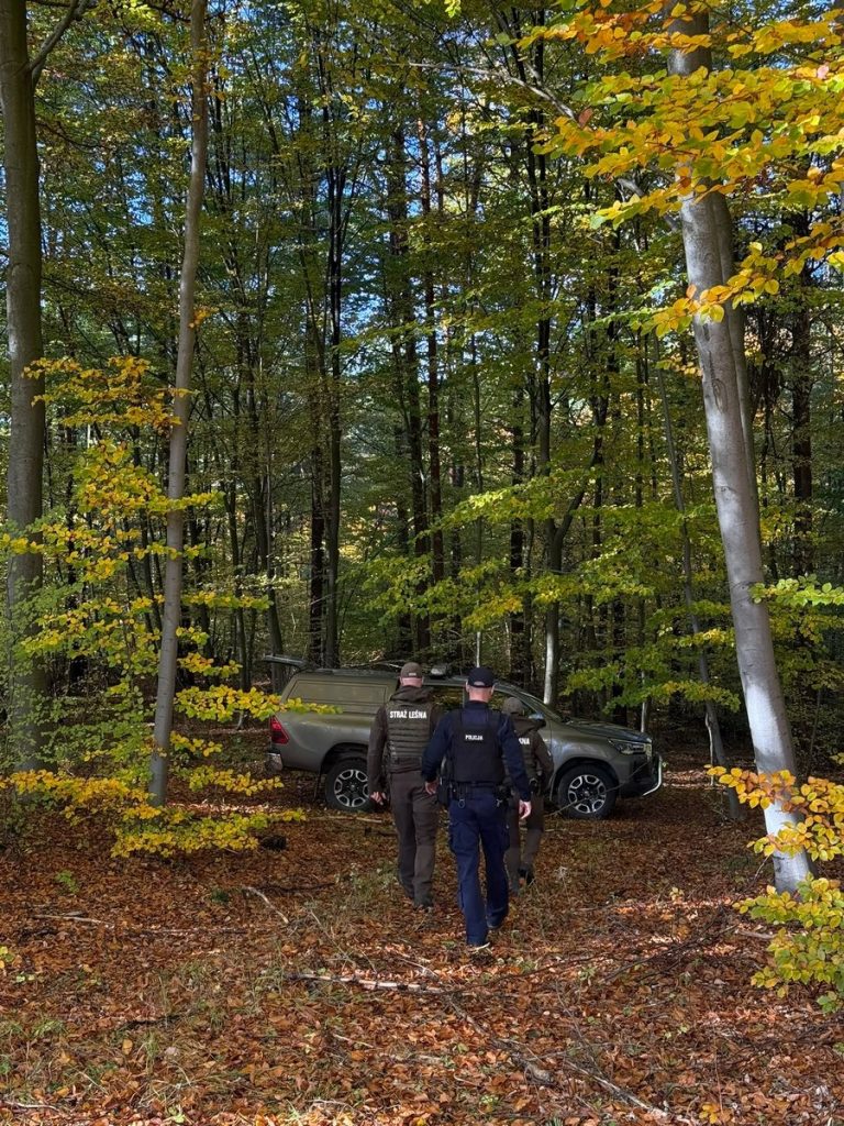 Policjant i strażnik leśny podczas wspólnego patrolu w jesiennym lesie