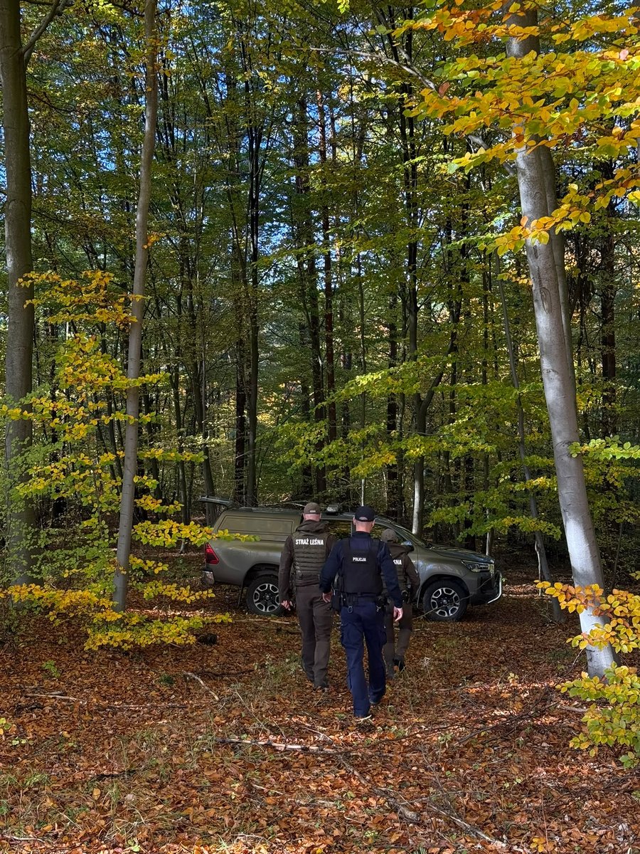 Wspólne patrole policji i Straży Leśnej przed Wszystkimi Świętymi. Za gałęzie na stroiki mandat do 500 zł